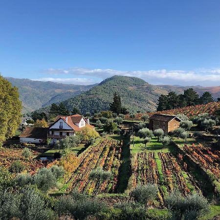 Quinta Vila Rachel - Winery Sao Mamede de Ribatua Екстериор снимка