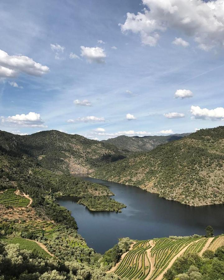 Quinta Vila Rachel - Winery Sao Mamede de Ribatua Екстериор снимка