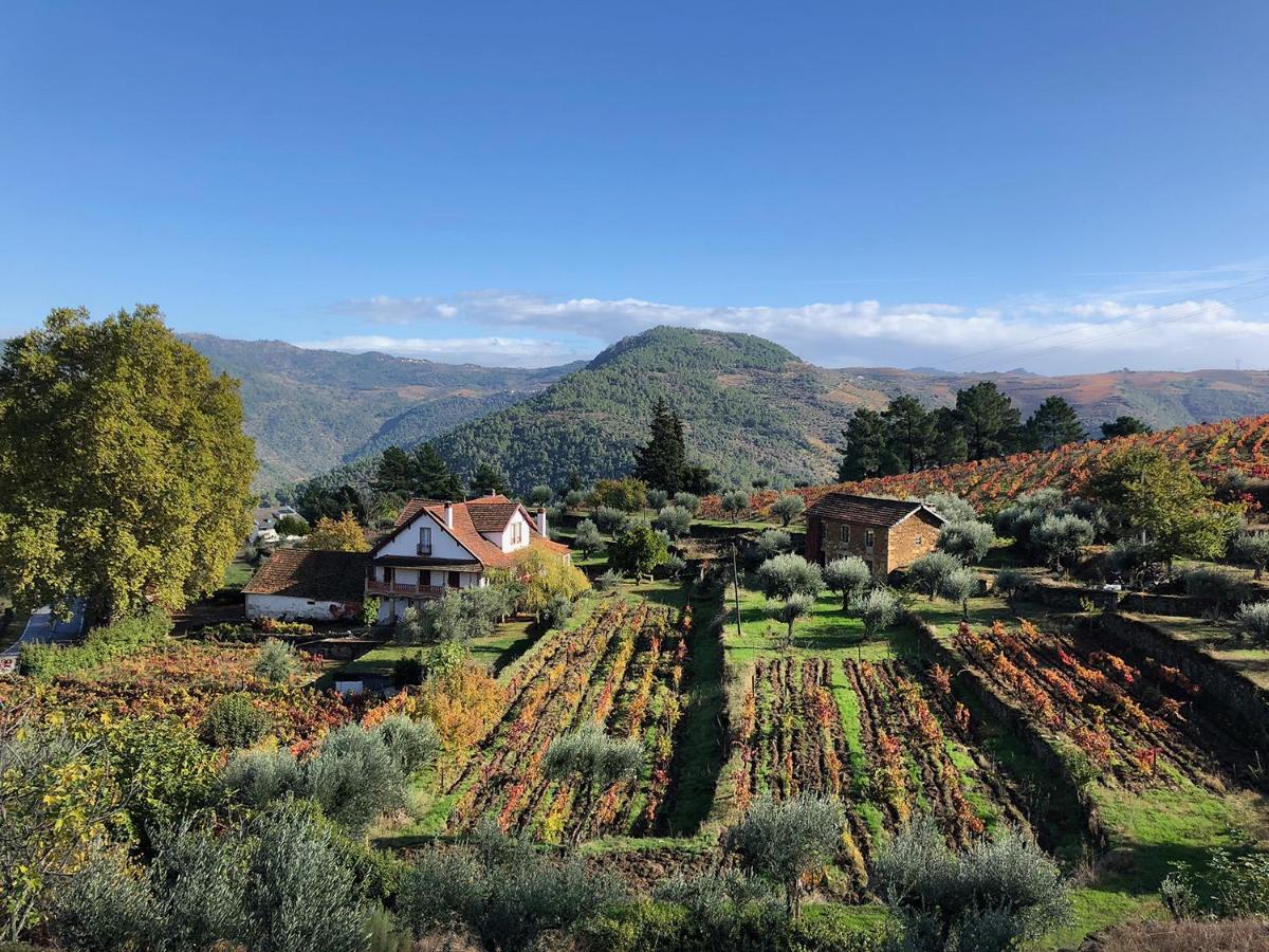Quinta Vila Rachel - Winery Sao Mamede de Ribatua Екстериор снимка